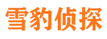 武鸣寻人公司